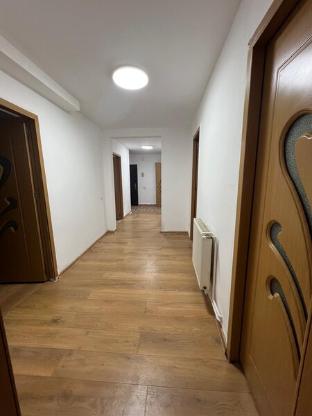 Stirbei Voda stradal- Schitu Magureanu- Cismigiu,