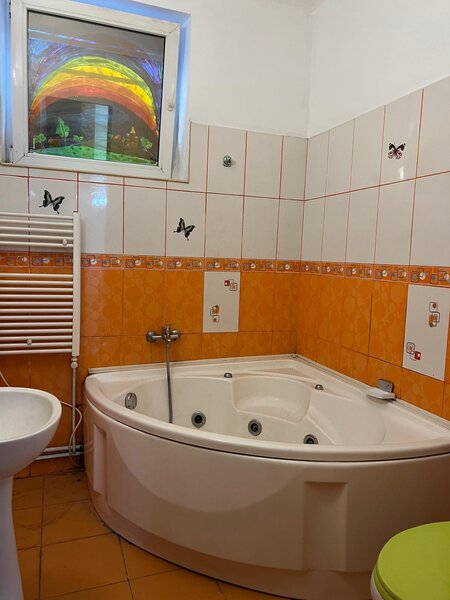 Stirbei Voda stradal- Schitu Magureanu- Cismigiu,